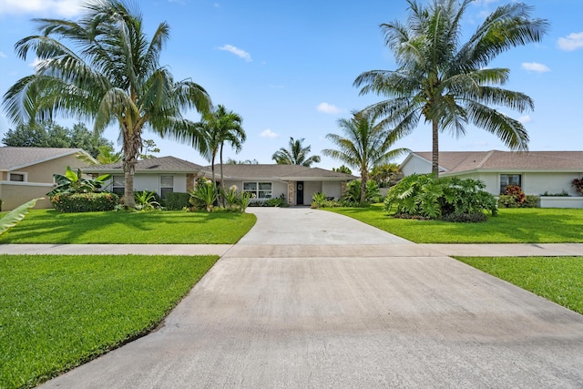 14244 Horseshoe Trce, Wellington, FL 33414 - ranch-style house with concrete driveway, a front yard, and stucco siding