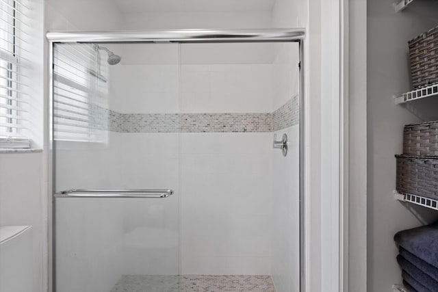 14244 Horseshoe Trce, Wellington, FL 33414 - full bathroom with a stall shower and toilet
