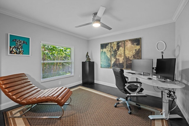 14244 Horseshoe Trce, Wellington, FL 33414 - office featuring ornamental molding, baseboards, and a ceiling fan