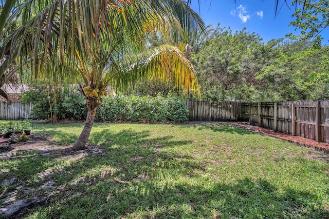 1005 SW 15th Ter, Fort Lauderdale, FL 33312 - view of yard