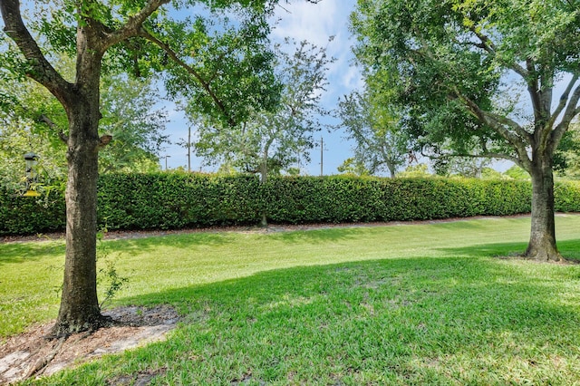 49 Lancaster Rd, Boynton Beach, FL 33426 - view of green lawn