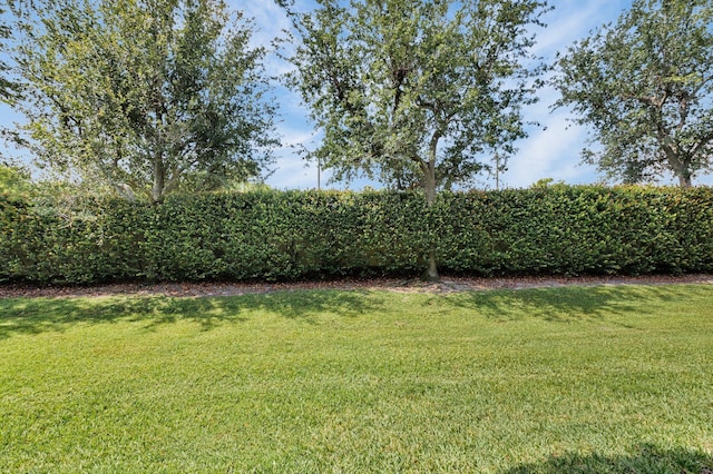 49 Lancaster Rd, Boynton Beach, FL 33426 - view of green lawn
