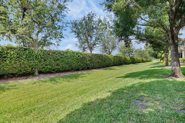 49 Lancaster Rd, Boynton Beach, FL 33426 - view of green lawn