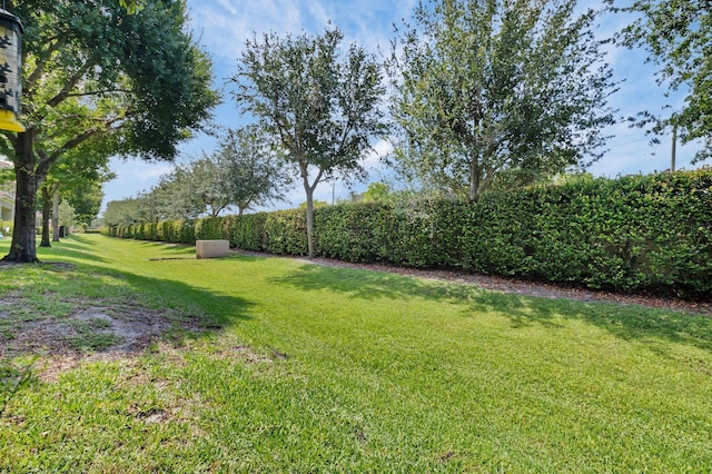 49 Lancaster Rd, Boynton Beach, FL 33426 - view of green lawn