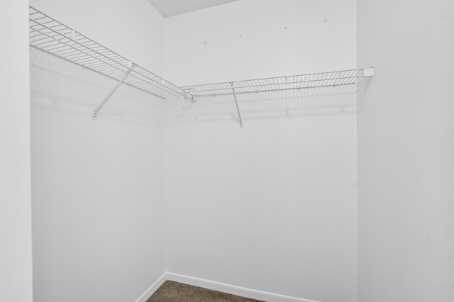 6612 Spring Bottom Way Unit 186, Boca Raton, FL 33433 - spacious closet with carpet flooring