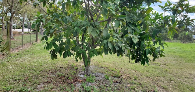 9500 Orange Ave, Fort Pierce, FL 34945 - view of yard