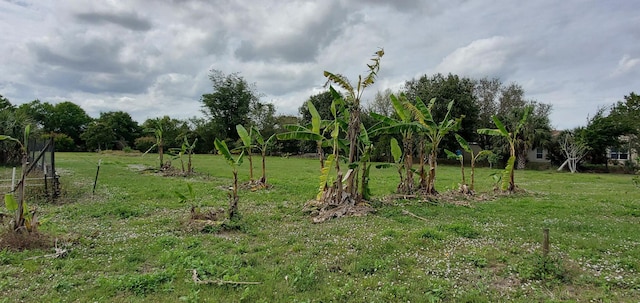 9500 Orange Ave, Fort Pierce, FL 34945 - view of grassy yard