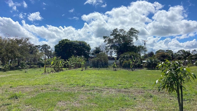 9500 Orange Ave, Fort Pierce, FL 34945 - view of yard