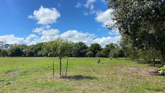 9500 Orange Ave, Fort Pierce, FL 34945 - view of yard with a rural view