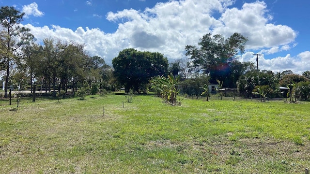9500 Orange Ave, Fort Pierce, FL 34945 - view of yard
