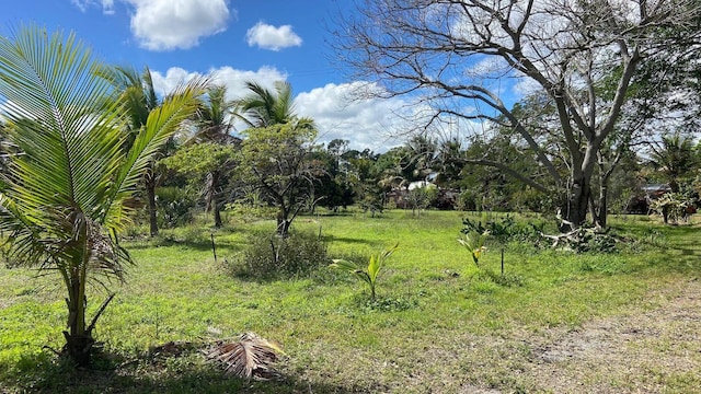 9500 Orange Ave, Fort Pierce, FL 34945 - view of yard