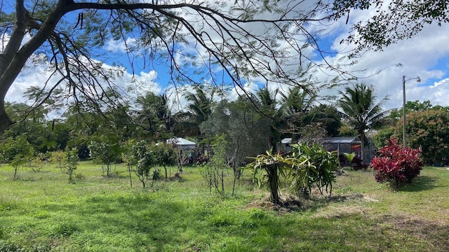 9500 Orange Ave, Fort Pierce, FL 34945 - view of green lawn