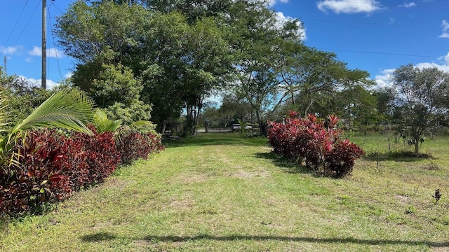 9500 Orange Ave, Fort Pierce, FL 34945 - view of grassy yard