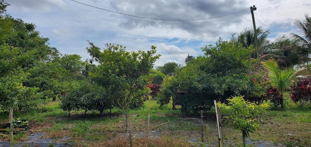 9500 Orange Ave, Fort Pierce, FL 34945 - view of undeveloped land