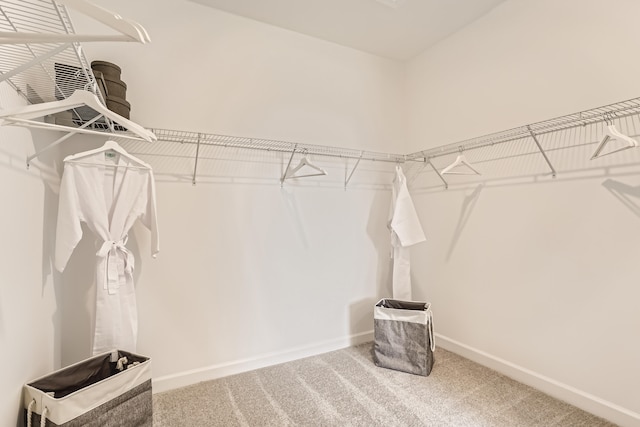 6783 Cobia Cir, Boynton Beach, FL 33437 - spacious closet with carpet flooring