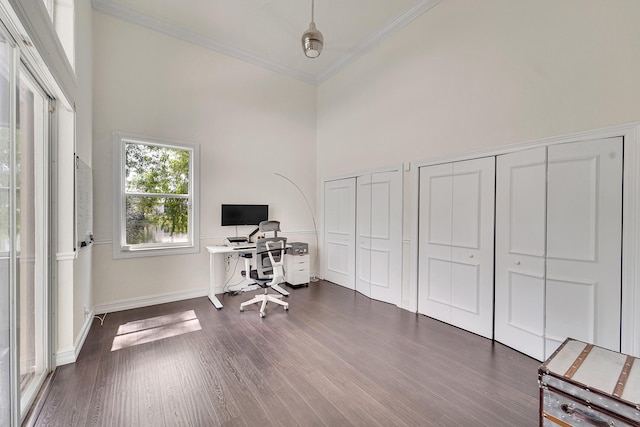5036 NW 24th Cir, Boca Raton, FL 33431 - office featuring crown molding, dark wood-style floors, a high ceiling, and baseboards