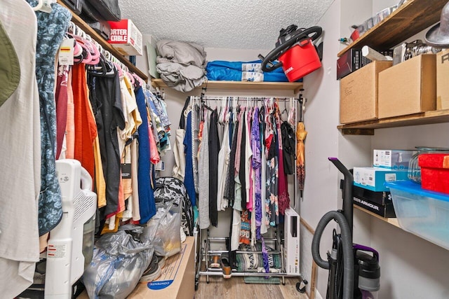 5100 Las Verdes Cir Unit 316, Delray Beach, FL 33484 - walk in closet with wood finished floors