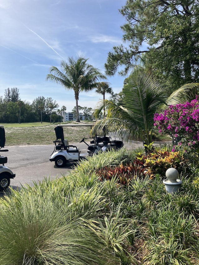 3590 Via Poinciana Unit 303, Lake Worth, FL 33467 - view of yard