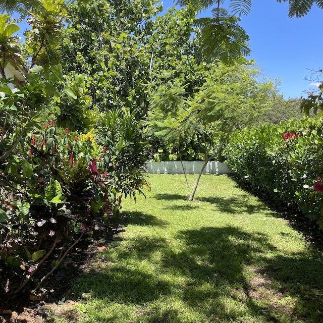470 S Mars Way NE, Juno Beach, FL 33408 - view of yard