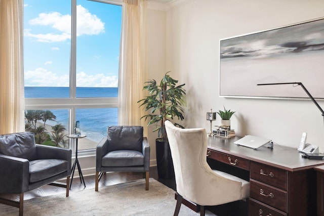 5050 N Ocean Dr Unit 701, Singer Island, FL 33404 - office featuring wood finished floors, a water view, and crown molding