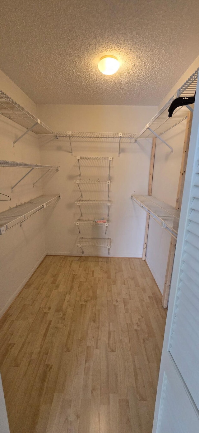 8205 Winnipesaukee Way, Lake Worth, FL 33467 - walk in closet featuring light wood finished floors