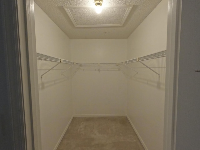 1713 Mariners Cv Unit 7C, Fort Pierce, FL 34950 - spacious closet featuring light carpet and attic access