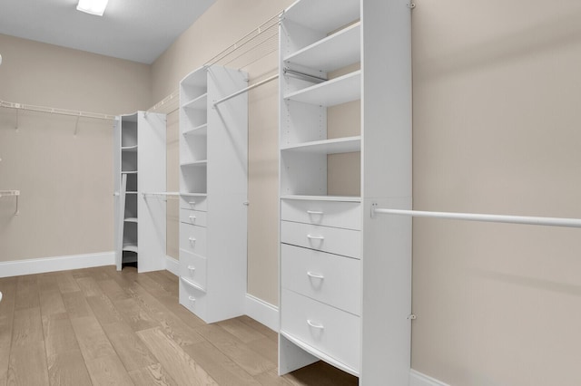 6688 Duckweed Rd, Lake Worth, FL 33449 - spacious closet featuring light wood-type flooring