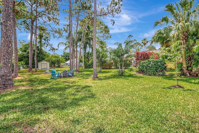 17495 40th Run N, Loxahatchee, FL 33470 - view of grassy yard