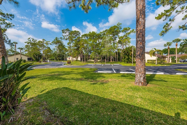 151 Pinto Palm Ct, Royal Palm Beach, FL 33411 - view of grassy yard