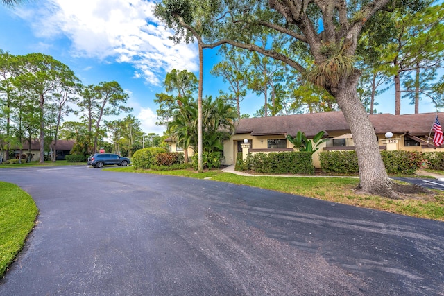 151 Pinto Palm Ct, Royal Palm Beach, FL 33411 - view of front of home featuring stucco siding and uncovered parking