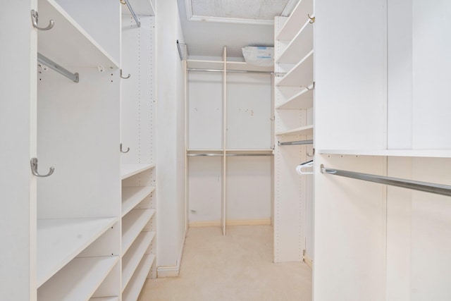 4402 SW Dundee Ct, Palm City, FL 34990 - walk in closet with carpet