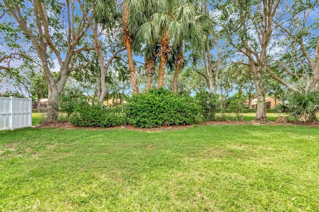 12522 Via Ravenna, Boynton Beach, FL 33436 - view of yard