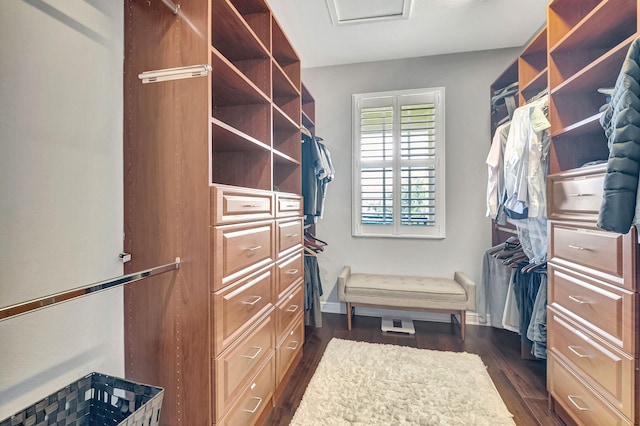 850 NW 83rd Ln, Boca Raton, FL 33487 - spacious closet featuring dark wood-style floors