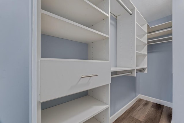 8592 Logia Cir, Boynton Beach, FL 33472 - spacious closet with wood finished floors