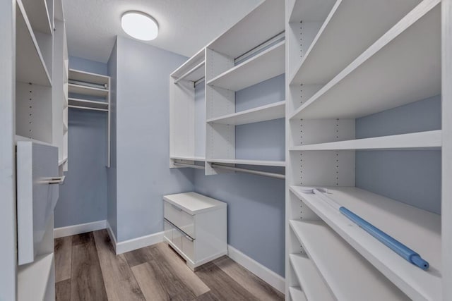 8592 Logia Cir, Boynton Beach, FL 33472 - spacious closet featuring wood finished floors