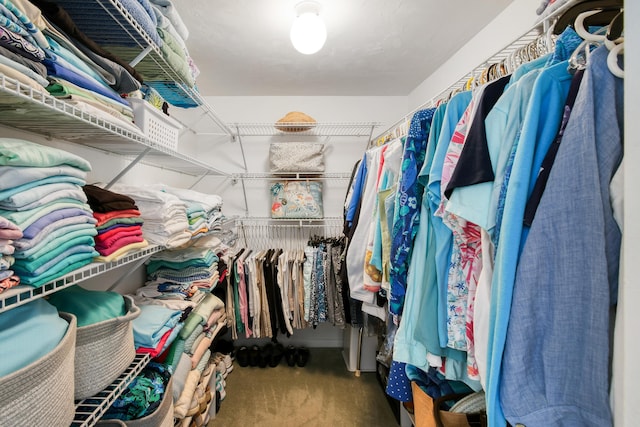 4 Garden St Unit 204N, Tequesta, FL 33469 - spacious closet with carpet flooring