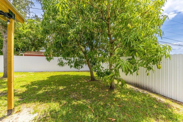 2481 SE Berkshire Blvd, Port Saint Lucie, FL 34952 - view of yard