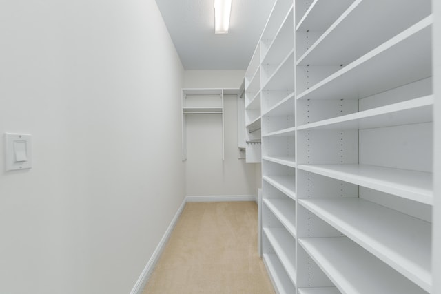 3040 Princeton Ln, Palm Beach Gardens, FL 33418 - walk in closet with light colored carpet