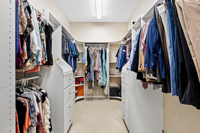 8940 New Hope Ct, West Palm Beach, FL 33411 - walk in closet featuring carpet floors