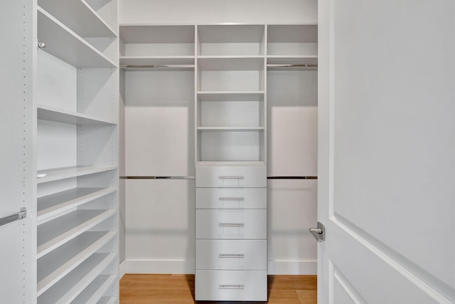 8660 W Parkland Bay Trl, Parkland, FL 33076 - walk in closet with light wood-style floors