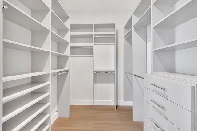 8660 W Parkland Bay Trl, Parkland, FL 33076 - walk in closet with light wood finished floors