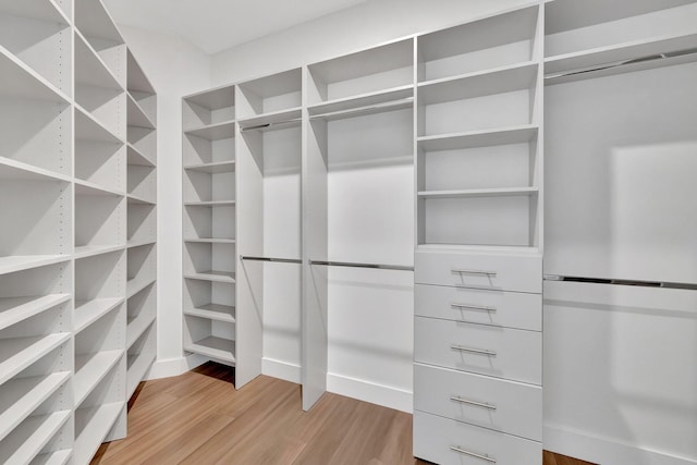 8660 W Parkland Bay Trl, Parkland, FL 33076 - spacious closet featuring light wood finished floors