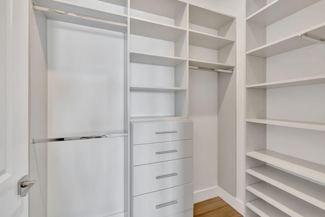 8660 W Parkland Bay Trl, Parkland, FL 33076 - walk in closet featuring light wood-style floors