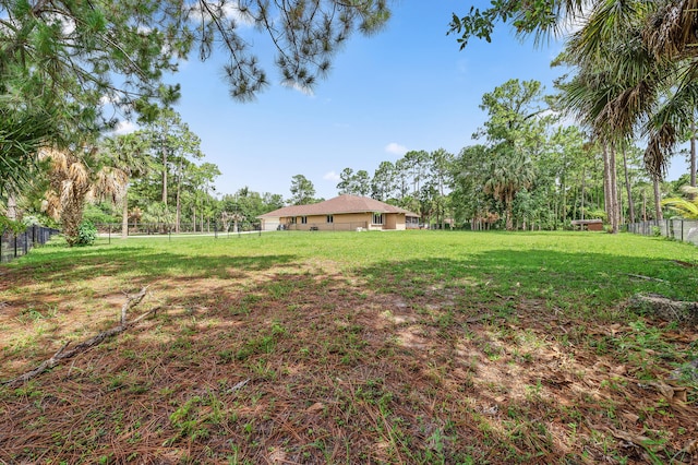 6839 Banyan Blvd, The Acreage, FL 33470 - view of yard