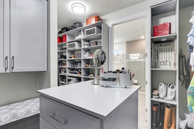 11620 Sally Ann Dr, Palm Beach Gardens, FL 33412 - view of walk in closet