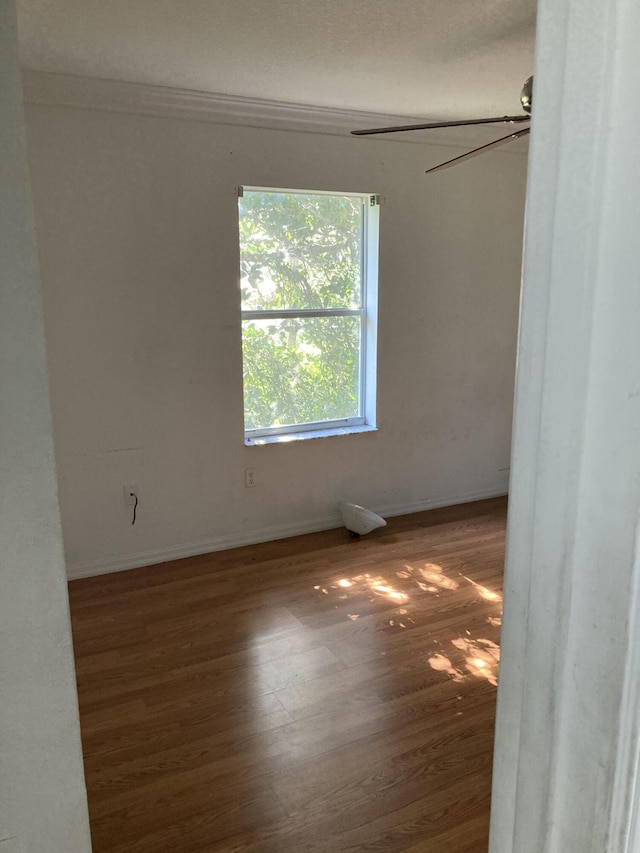 1098 Winding Rose Way, West Palm Beach, FL 33415 - spare room featuring wood finished floors and baseboards