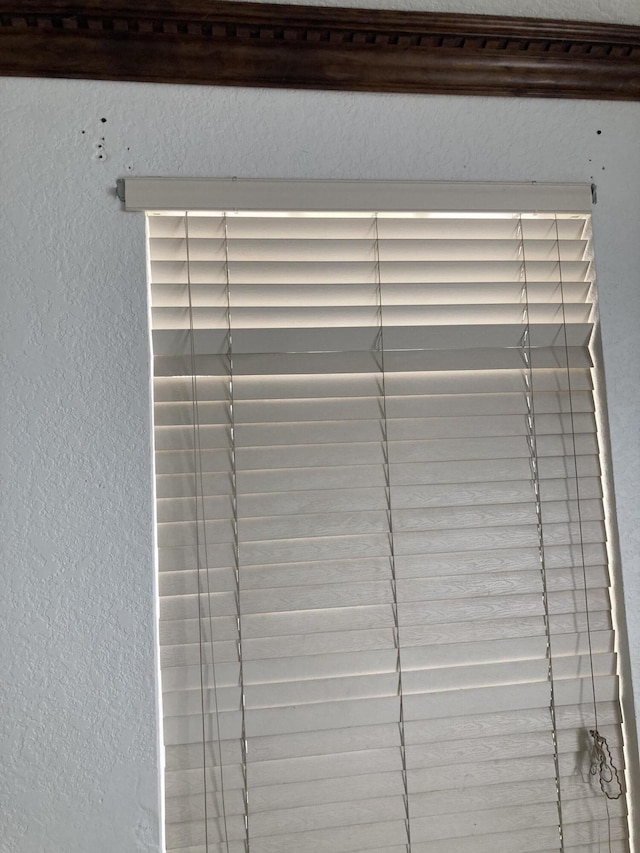 1098 Winding Rose Way, West Palm Beach, FL 33415 - detailed view of a textured wall