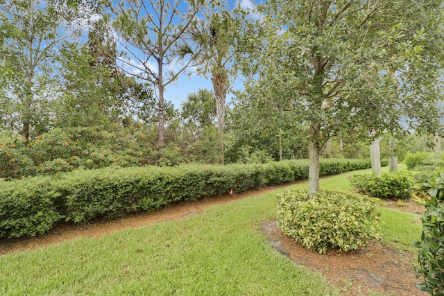 568 SE Monet Dr, Port Saint Lucie, FL 34984 - view of grassy yard