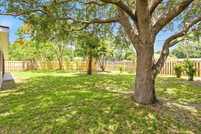 7802 Miramar Ave, Fort Pierce, FL 34951 - view of yard