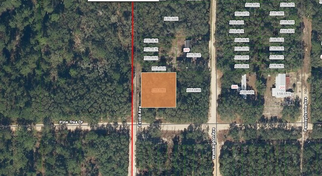 0000 Pine Tree Dr, Palatka, FL 32177